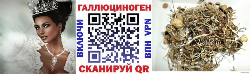 Галлюциногенные грибы Psilocybe  Зеленодольск 