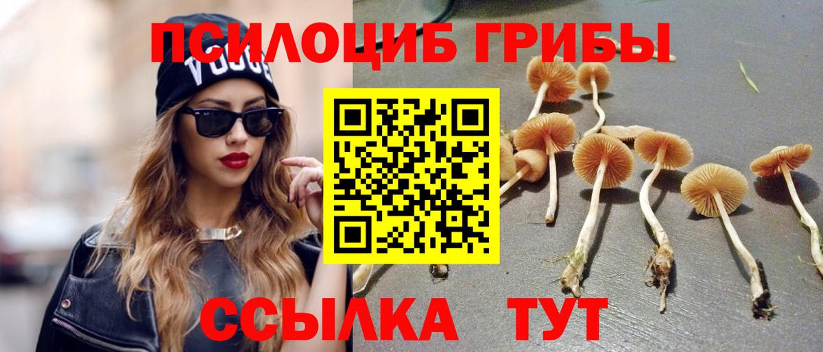 Зеленодольск  Галлюциногенные грибы MAGIC MUSHROOMS  Вход с VPN 