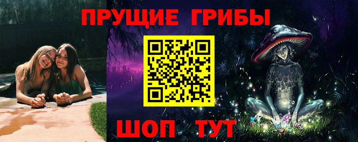 Галлюциногенные грибы Cubensis Зеленодольск
